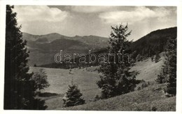 * T1/T2 Kőrösmező, Jasina; Bliznica / Mountain - Unclassified