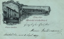 T3 1899 Szabadka, Subotica; Polgári Szálloda, Vasútállomás / Hotel, Railway Station; Floral (EB) - Unclassified