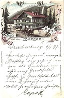 * T2/T3 1897 (Vorläufer!) Gruss Aus Den Bergen. Hotel, Art Nouveau, Floral, Litho. Kunstanstalt Karl Schwidernoch (Rb) - Unclassified