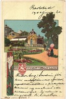 T2 Karlovy Vary, Karlsbad; Cursalon Im Stadtpark / Spa In Park. V. Brünn Art Nouveau, Litho - Unclassified