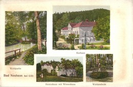 ** T2 Terme Dobrna, Bad Neuhaus Bei Cilli; Waldpartie, Kurhaus, Herrenhaus Mit Wiesenhaus, Waldandacht / Forest, Spas - Unclassified