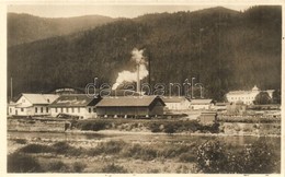 ** T1/T2 Skole-Groedlow, Hala Tartaczna / Sägehalle / Fűrésztelep / Sawmill - Unclassified