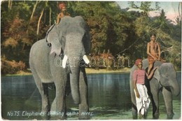 T3/T4 Elephants Bathing In The River. Ceylon, Sri Lankan Folklore. The Colombo Apothecaries Co. Ltd. No. 75. (fa) - Unclassified