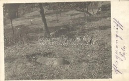 * T2/T3 Fliegerangriff Pola / A Polai Légitámadás Felrobbant Bombája / WWI Aviator Attack's Bomb In Pola. Photo (EK) - Zonder Classificatie