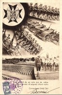 * T2 Comandantul Straja Tarii: Teofil Sidorovici / Romanian Paramilitary Youth Organization Propaganda Card - Unclassified