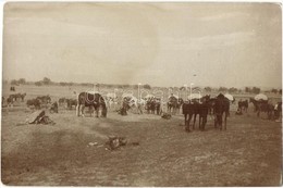 * T2/T3 1917 Táborozó Katonai Trén (málhás Szekerek Menetoszlopa és Legénysége) / Camping WWI Transportation Of Austro-H - Zonder Classificatie