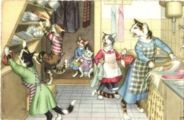 * T2/T3 Cats In The Kitchen. Alfred Mainzer 4851. - Modern Postcard (gluemark) - Unclassified