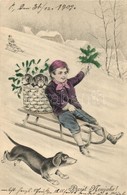 T2/T3 'Prosit Neujahr!' / New Year, Boy On Sledge, Dogs, H.W.I.B. Serie 110. (EK) - Unclassified