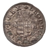 1701KB Duarius 'I. Lipót' Körmöcbánya (0,54g) T:2- Kis Patina
Huszár 1499., Unger II.: 1105. - Unclassified