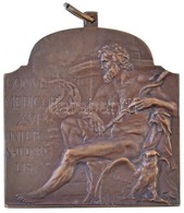 Ifj. Vastagh György (1868-1946) 1909. 'XVI. Nemzetközi Orvos Kongresszus - Budapest' Bronz Plakett Szalag Nélkül (40x40m - Unclassified