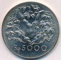 Indonézia 1974. 5000R Ag 'Orángután' T:1,1-
Indonesia 1974. 5000 Rupiah Ag 'Orangutan C:UNC,AU
Krause KM#40 - Zonder Classificatie