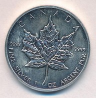 Kanada 1989. 5$ Ag 'II. Erzsébet / Juharlevél' (1oz/0.999) T:1-
Canada 1989. 5 Dollars Ag 'Elizabeth II / Maple Leaf' (1 - Unclassified