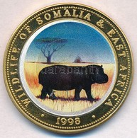 Szomália 1998. 250Sh Cu-Ni-sárgaréz 'Viziló' Multicolor T:1 Fo.
Somalia 1998. 250 Shillings Cu-Ni-Brass 'Hippopotamus' C - Zonder Classificatie