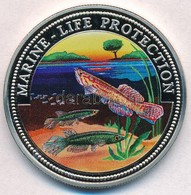 Szomália 1999. 10$ Cu-Ni 'Tengeri élet Védelme' Multicolor T:PP 
Somalia 1999. 10 Dollars Cu-Ni 'Marine Life Protection' - Unclassified