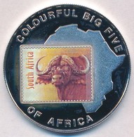 Uganda 2001. 1000Sh Cu-Ni 'Vízibivaly' Multicolor T:PP Fo.
Uganda 2001. 1000 Shillings Cu-Ni 'Water Buffalo' Multicolor  - Zonder Classificatie