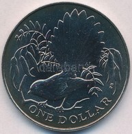 Új-Zéland 1980. 1$ Cu-Ni 'Legyezőfarkú' T:BU
New Zealand 1980.1 Dollar Cu-Ni 'Fantail Bird' C:BU
Krause KM#49 - Zonder Classificatie