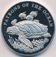 Zambia 2001. 1000K Cu-Ni 'Álcserepesteknős' T:PP Felületi Karc, Ujjlenyomat
Zambia 2001. 1000 Kwacha Cu-Ni 'Loggerhead S - Unclassified