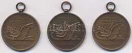 1928. 'Budapesti Korcsolyázó Egylet - Alakult: 1869' Br Díjérem Füllel (27mm) (3x) T:2 - Unclassified