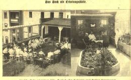 Das Dach Als Erholungsstätte/ Druck, Entnommen Aus Zeitschrift / 1928 - Bücherpakete