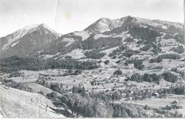 Oey-Diemtigen - Dorfansicht  (Feldpost)          1956 - Diemtigen