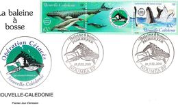 NOUVELLE CALEDONIE - FDC De 2001 N° 844 à 845 - Briefe U. Dokumente