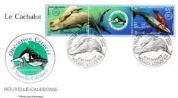 NOUVELLE CALEDONIE - FDC De 2002 N° 876 à 877 - Lettres & Documents