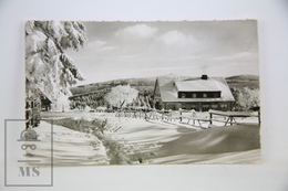 Real Photo Postcard Germany - Winter Landscape - Torfhaus Im Oberharz - Clausthal-Zellerfeld