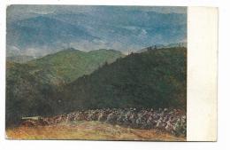 GUERRA VISTA RAPPRESENTATA - TRAINO IN MONTAGNA - NV FP - War 1914-18