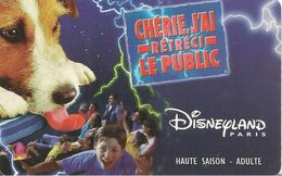 PASS--DISNEY-1999-DISNEYLAND-PARIS-CHERIE J AI RETRECI-V°SPEOS-99/02/HOA -VALIDE 1 JOUR LE 200799-TBE - Pasaportes Disney