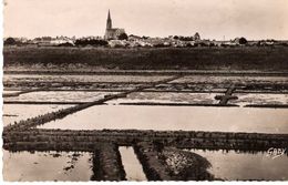 BOURGNEUF EN RETZ - LES MARAIS SALANTS ET PANORAMA SUR LE PAYS - Bourgneuf-en-Retz