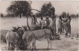 Afrique Coloniale, Afrique Occidentale Française,Sénégal,dakar,puit,femme,sein Nu,nue,CARTE PHOTO - Sénégal