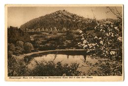 CPA - Carte Postale  - Allemagne - Montagne De Mosenberg - 1929 (CP189) - Pegnitz