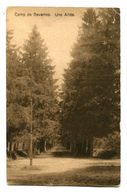 CPA - Carte Postale  - Belgique - Camps De Beverloo - 1922 (CP200) - Beringen
