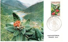 NOUVELLE CALEDONIE - CARTE (CM) De 1964 N° 316 - Brieven En Documenten