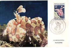 NOUVELLE CALEDONIE - CARTE (CM) De 1964 N° 323 - Cartas & Documentos