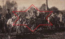 CP Photo 1918 LOSNIGOW (Loshniv ? Trembowla District, Trembowli, Ternopil Oblast) - Pferdmarket (A187, Ww1, Wk 1) - Ukraine
