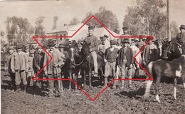 Photo 1918 LOSNIGOW (Loshniv ? Trembowla District, Trembowli, Ternopil Oblast) - Pferdmarket (A187, Ww1, Wk 1) - Ukraine