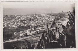 Afrique Du Nord,MOSTAGANEM,oran,vue Sur TIDJDITT,104m Alt,ville Du 1er Régiment Tirailleur Algérien,carte Photo Combier - Oran