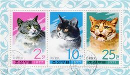 Naturschutz Katzen 1977 Korea 1659/1 Im 3-Kleinbogen O 26€ Hauskatzen Hoja Sheet Ss WWF M/s Cats Sheetlet Bf Corea - Usati