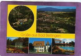 Grüsse Aus Bad Bellingen Kurpark Rathaus  Bewegunsbad - Bad Bellingen