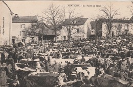 XERTIGNY : (88) La Foire Au Bétail - Xertigny