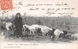 Corrèze  Scène    19     Vieille Bergère Et Ses Moutons      (voir Scan) - Sonstige & Ohne Zuordnung