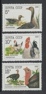 USSR Russia 1990 Poultry Farm Geese Adlers Caucasian Ducks Birds Animals Fauna Nature Stamps MNH Sc 5909-11 Mi 6102-04 - Oies