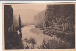 Cp , 48 , GORGES DU TARN , Le Tarn Entre Ste-ÉNIMIE Et LA MALÈNE - Gorges Du Tarn