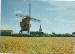 HONDSCHOOTE LE MOULIN - Hondshoote