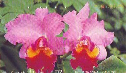 Télécarte  Japan Fleur ORCHID (3666)  Orchidée Orquídea Orchidee Flower - Fleurs