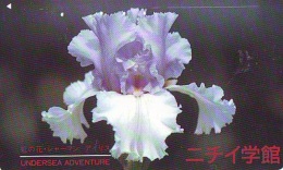Télécarte  Japan Fleur ORCHID (3673  Orchidée Orquídea Orchidee Flower - Fleurs