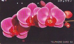 Télécarte  Japan Fleur ORCHID (3678)  Orchidée Orquídea Orchidee Flower - Fleurs