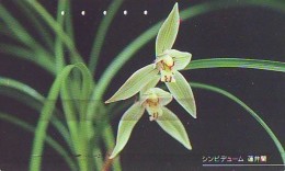 Télécarte  Japan Fleur ORCHID (3697)  Orchidée Orquídea Orchidee Flower - Fleurs
