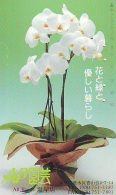 Télécarte  Japan Fleur ORCHID (3709)  Orchidée Orquídea Orchidee Flower - Fleurs